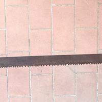 Vecchia sega x boscaioli