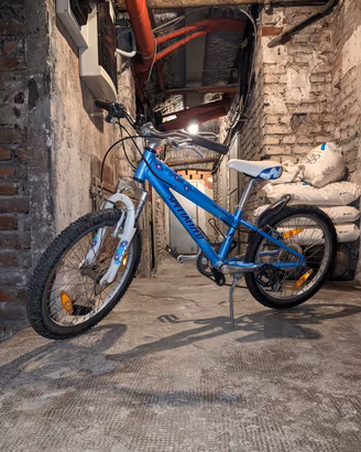 Bici Specialized bambino/a 20'