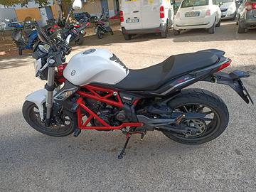 Benelli 300 in perfette condizioni