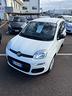fiat-panda-1-2-easy