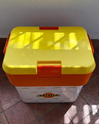 Frigo termico