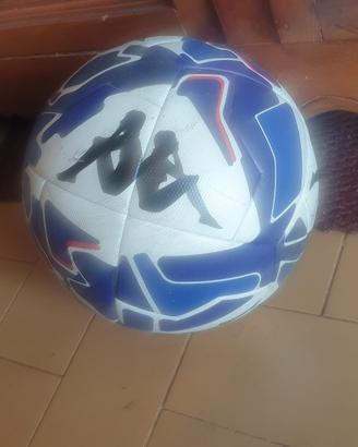 pallone da calcio