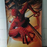 Spiderman 2001 poster in vinile