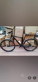 Bici Cicli Conti
