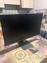 monitor lg