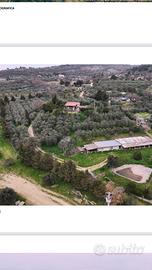 Il bel vedere di Magione