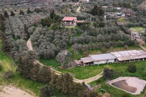 Il bel vedere di Magione