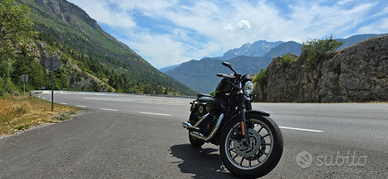 Harley Davidson sportster 883