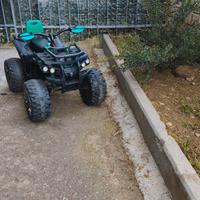 quad elettrico 