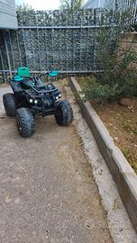 quad elettrico 