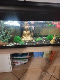 Aquario 100 litri 