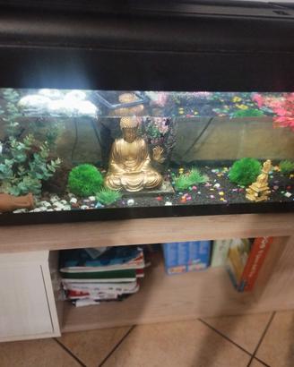 Aquario 100 litri 