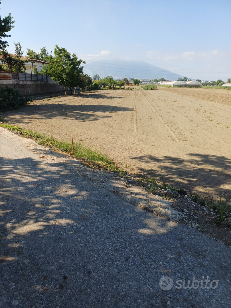 Terreno agricolo - Vista 2