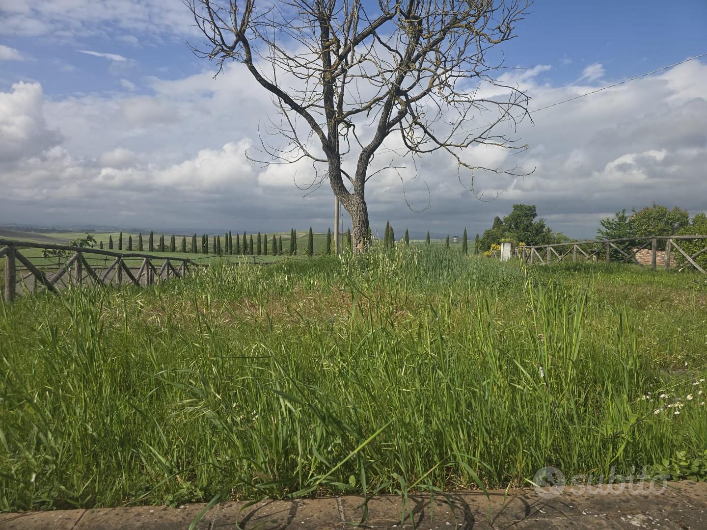 Apartment in Monteroni d'Arbia, Radi - Vista 3