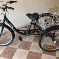 Bicicletta  a 3 ruote Viribus