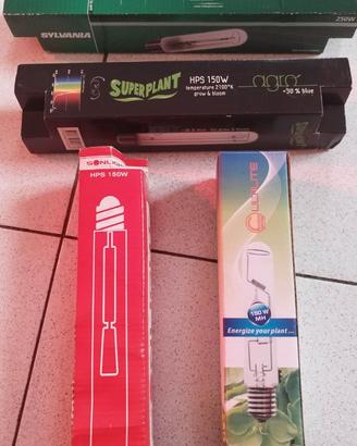 Lampada coltivazione: 3 HPS 150w + 1 SHP 250w