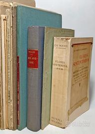 LETTERATURA, STORIA, ARTE, POESIA, RARI 3b
