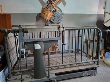 Bilancia agricola per animali