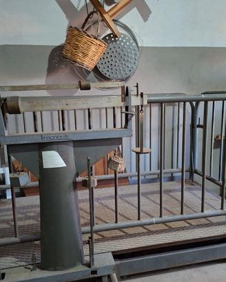 Bilancia agricola per animali