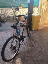 bicicletta 