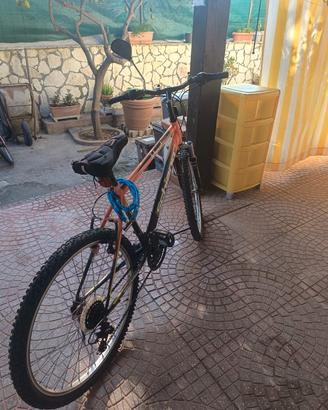 bicicletta 