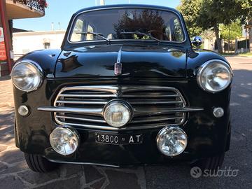 Fiat 1100 103