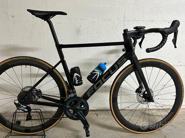 focus izalco max