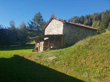 "Parco Adamello" a CEVO (BS) rustico con terreno