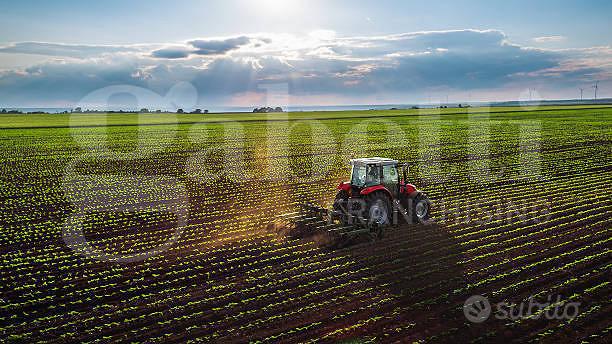 Terreno Agricolo Camponogara [Cod. rif 3342326VRG] - Vista 4