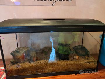 acquario da 100 litri 