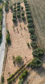 Terreno agricolo