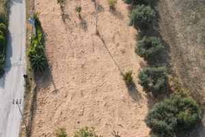 Terreno agricolo