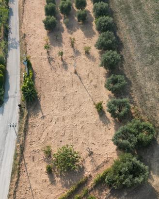 Terreno agricolo