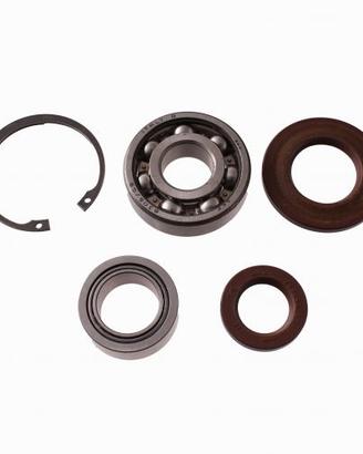 Kit cuscinetti e paraolio Vespa PX 154714