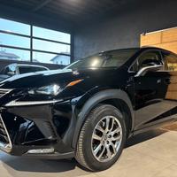 Lexus NX 300h Hybrid 4WD Executive 155cv