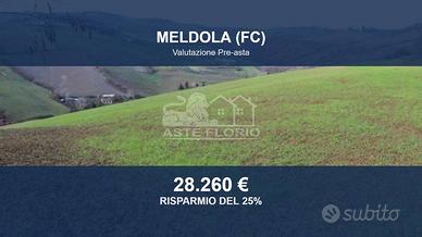 Immobile in asta di 43309 m² a Meldola