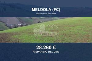 Immobile in asta di 43309 m² a Meldola