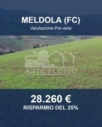 Immobile in asta di 43309 m² a Meldola