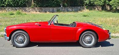 Mg MGA