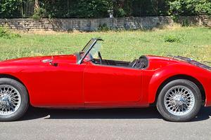 Mg MGA