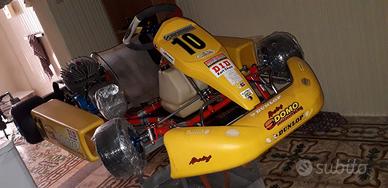 go kart pcr 100