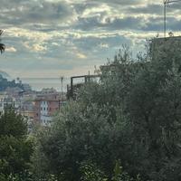 App. Via castruccio rapallo