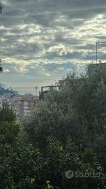 App. Via castruccio rapallo