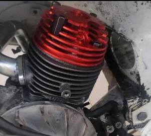 elaborazione vespa