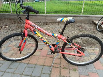 bicicletta 
