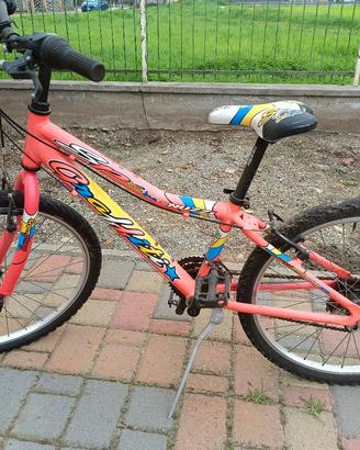 bicicletta 