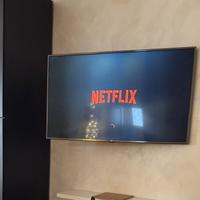 Smart tv LG 55 pollici