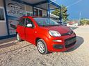 fiat-panda-1-2-my-panda