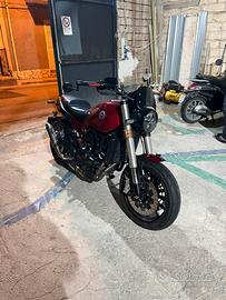 Benelli leoncino 500 - 2021