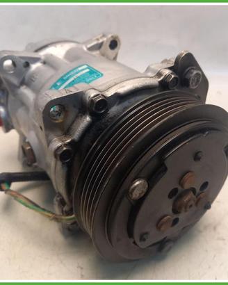 Compressore Clima AC Aria Condizionata Sanden